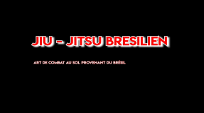 Présentation Shinbudo Jiu-Jitsu